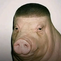 Pigger