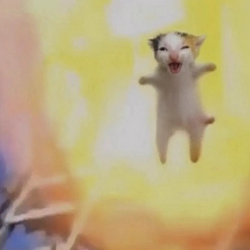 Ecat