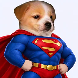 SUPERBUTCH