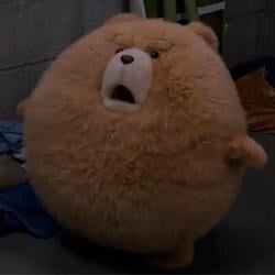 TED