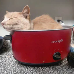 SLOWCOOK