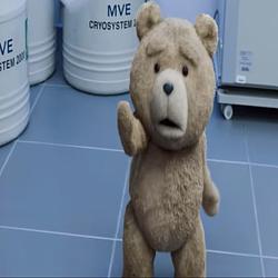 TEDCATCH