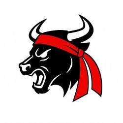 The Gamestop Bull / SOL