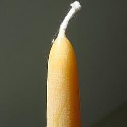 WICK