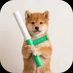 baton