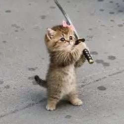 CATANA