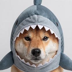 SharkINU