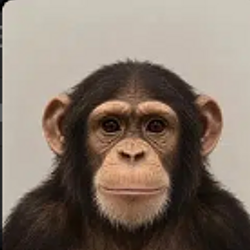 APE