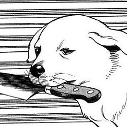 KNIFEDOGE