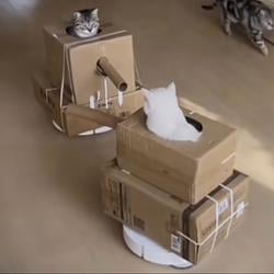 CATPVP
