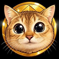 混混猫