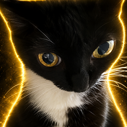 Meowderator / SOL