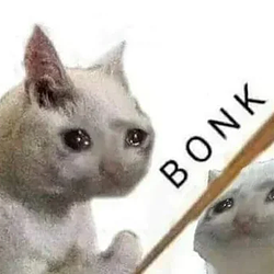 bonkcat