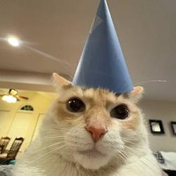 BDAYCAT
