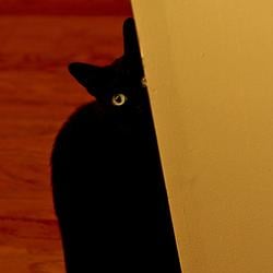 PEEKABOO