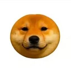 coinu