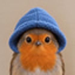 Robin