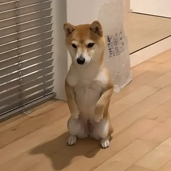 Ichi