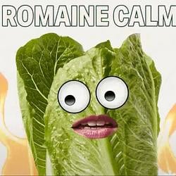 ROMAINE