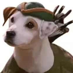 WISHBONE / SOL