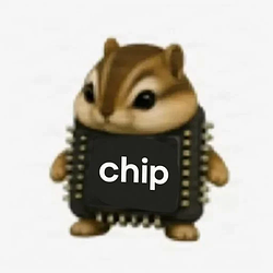 CHIP