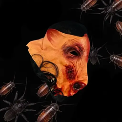 CREATURES / SOL