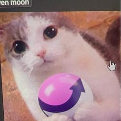wenmoon