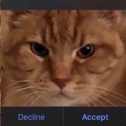 dropcat