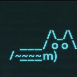 bitcat