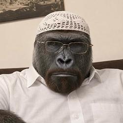 HARAMBE