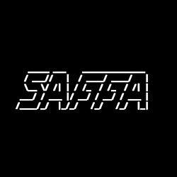 STANDARDS AUTHORITY FOR FRONTIER