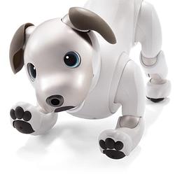 Aibo 2026