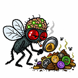 SHITFLY / WETH