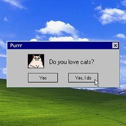 LoveCat