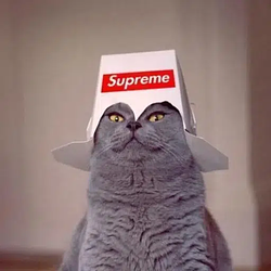 Supreme / SOL