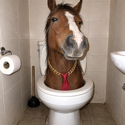 THORSE
