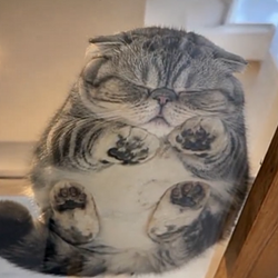loaf