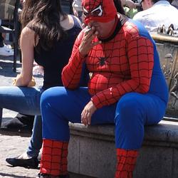 Fat Spider