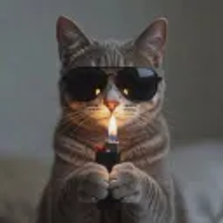 Lightercat / SOL