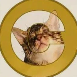 CATCOIN / SOL