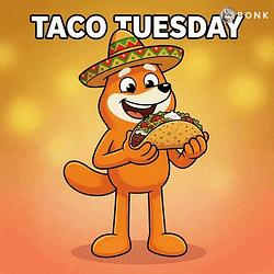 TACO / SOL