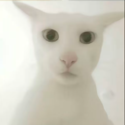 老吴