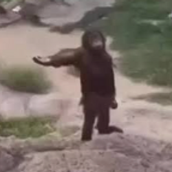 FIRSTAPE