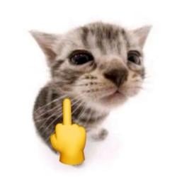 tom