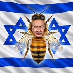 bibi