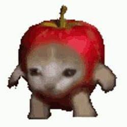 APPLECAT
