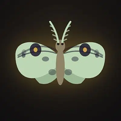 moths