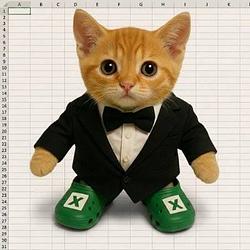 excelcat