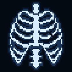 XRAY