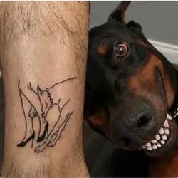 EXDOG